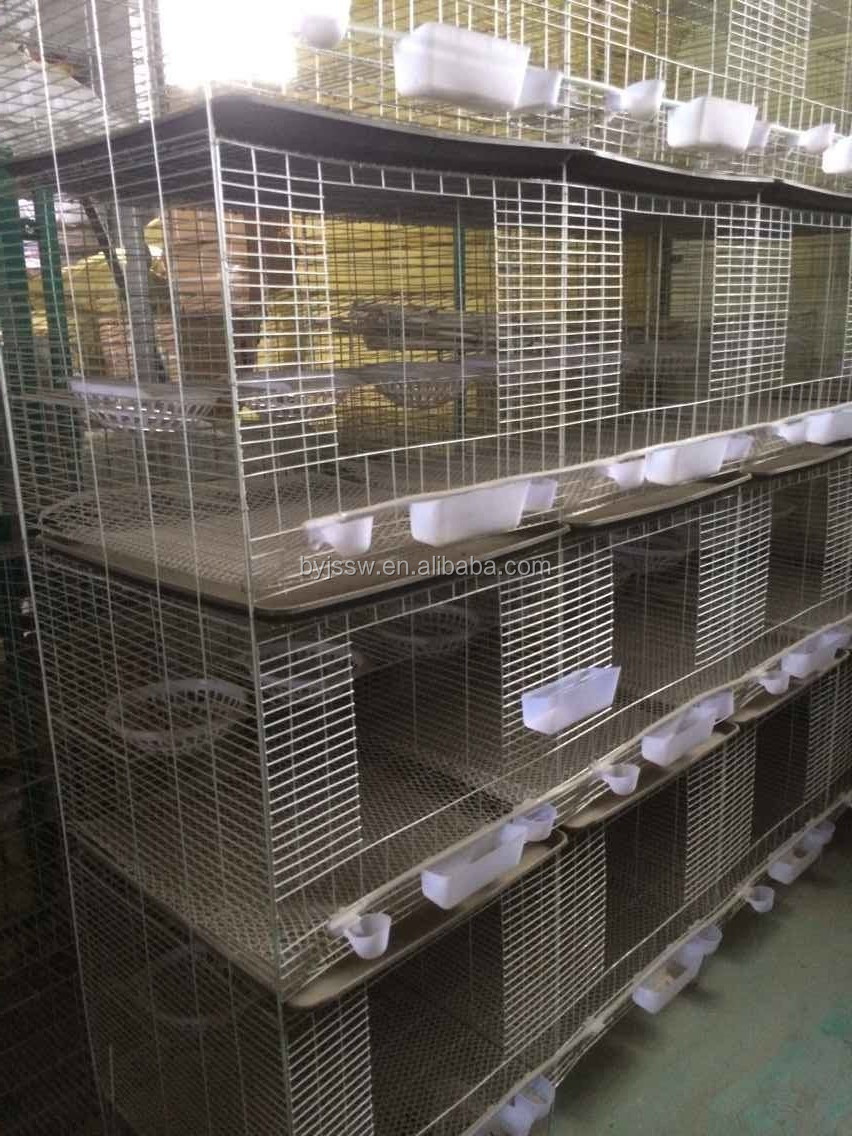 贸易保证鸽子繁殖箱出售