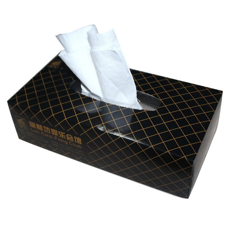 Native Wood Pulp Box Facial Tissue