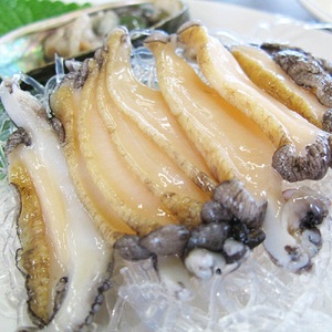 arcticshellfish