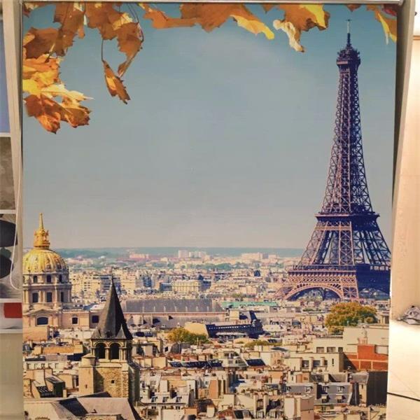 Nova chegada personalizado impresso cortinas de rolo da janela 3d