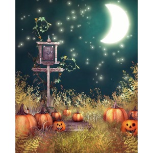 Fiber Optic Halloween Pumpkins Fiber Optic Halloween Pumpkins