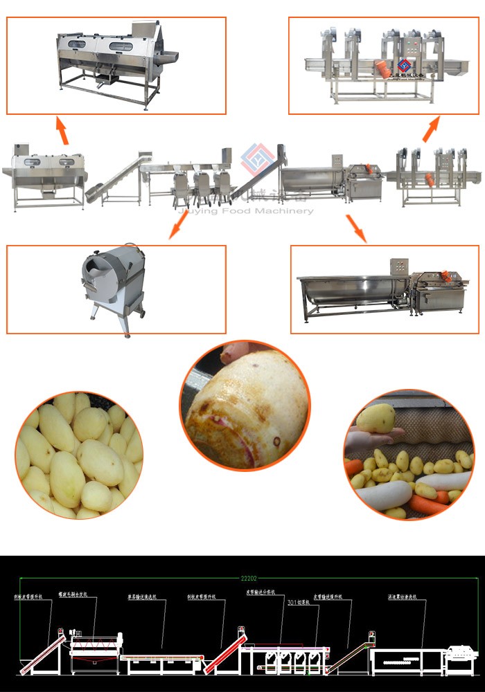 1500kg/h Vegetable Fruit Washing Machine Automatic Salad Production Line