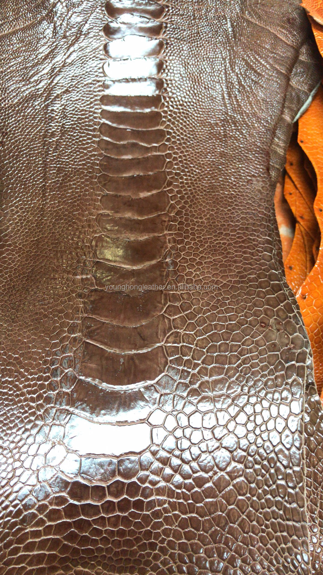 黑色和棕色闪亮的鸵鸟腿皮革为钱包