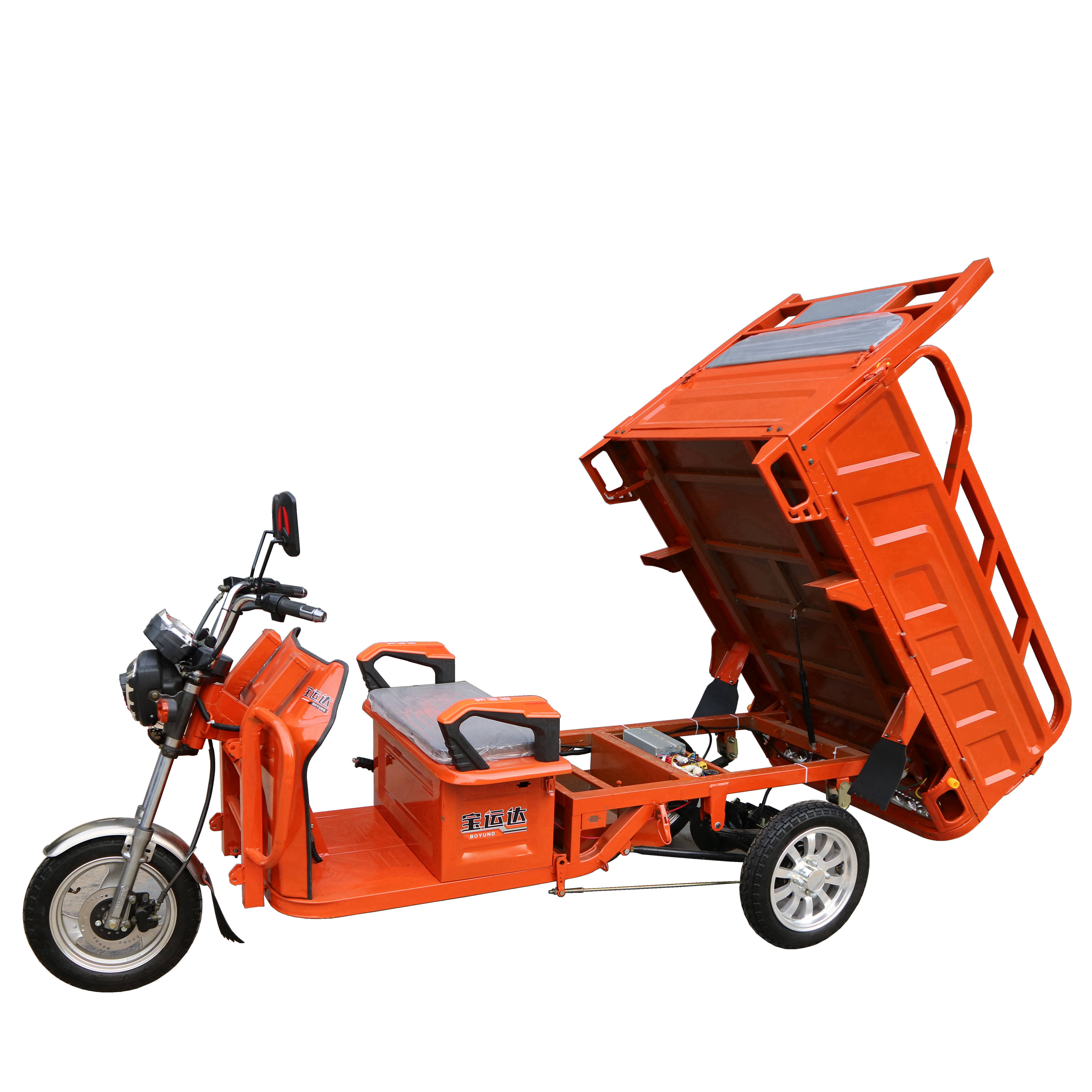 Cargo Trike