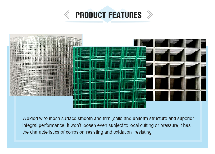 48"x100feet Welded wire mesh hardware cloth 1/2 3/4 1 inch