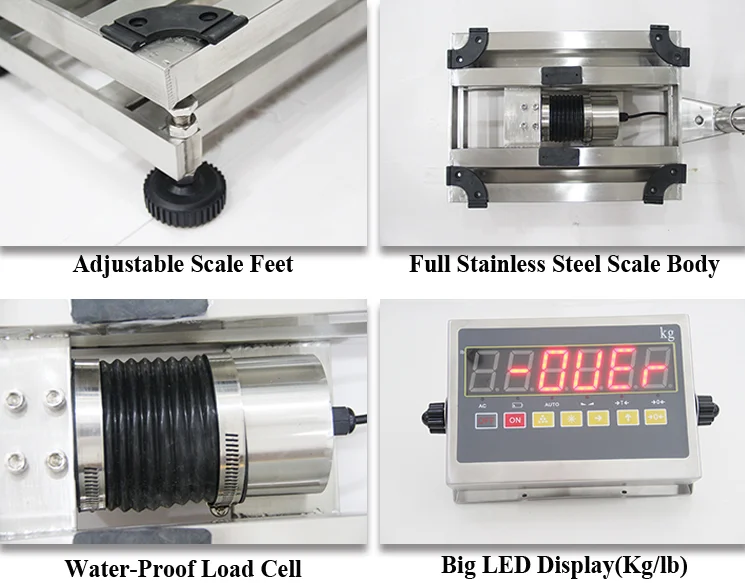 Stainless Steel Electronic table top  Weigh Scales with printer