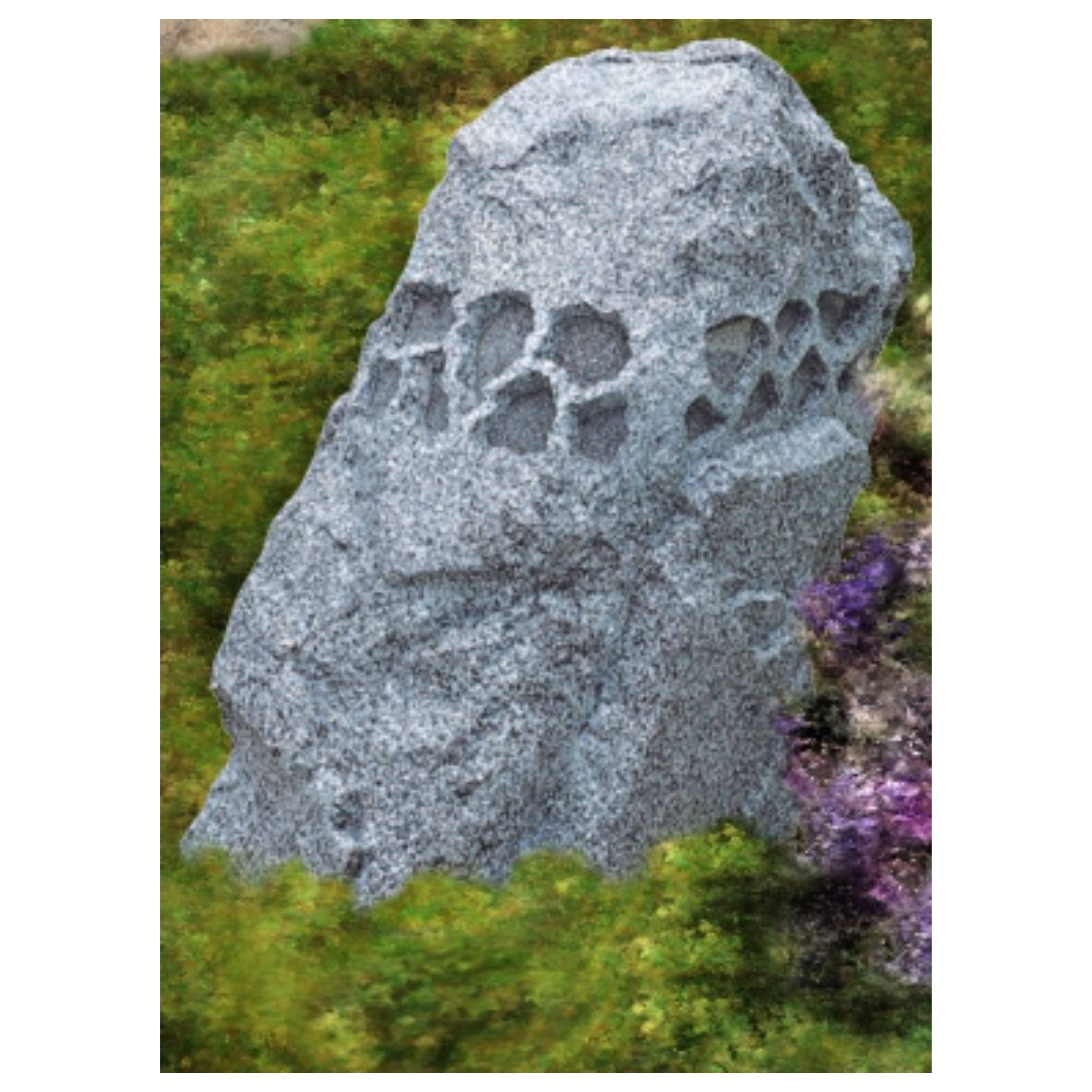 sam's club rock speakers