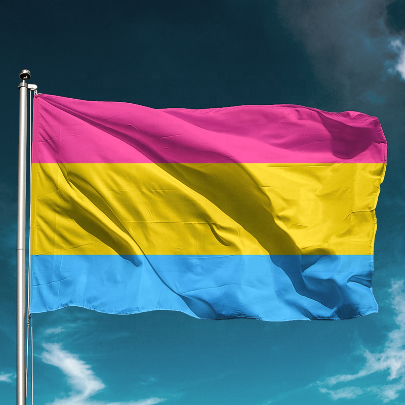 Acquista Bandiera Dell'orgoglio Bisessuale LGBT 90 * 150 Cm Bandiera Arcobaleno Rosa Blu Decorazioni Per La Casa Banner Bandiera LGBT Gay Friendly In Italia A Partire Da 4.23 - Foto 8