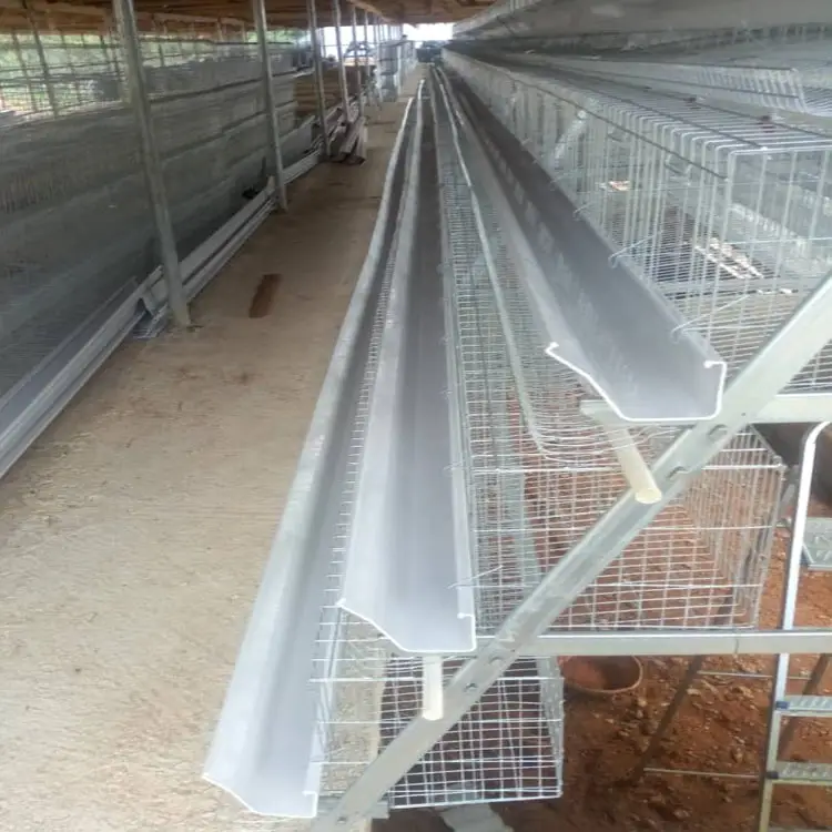 Long lifetime h type quail cage design for poultry farm fully automatic factory price