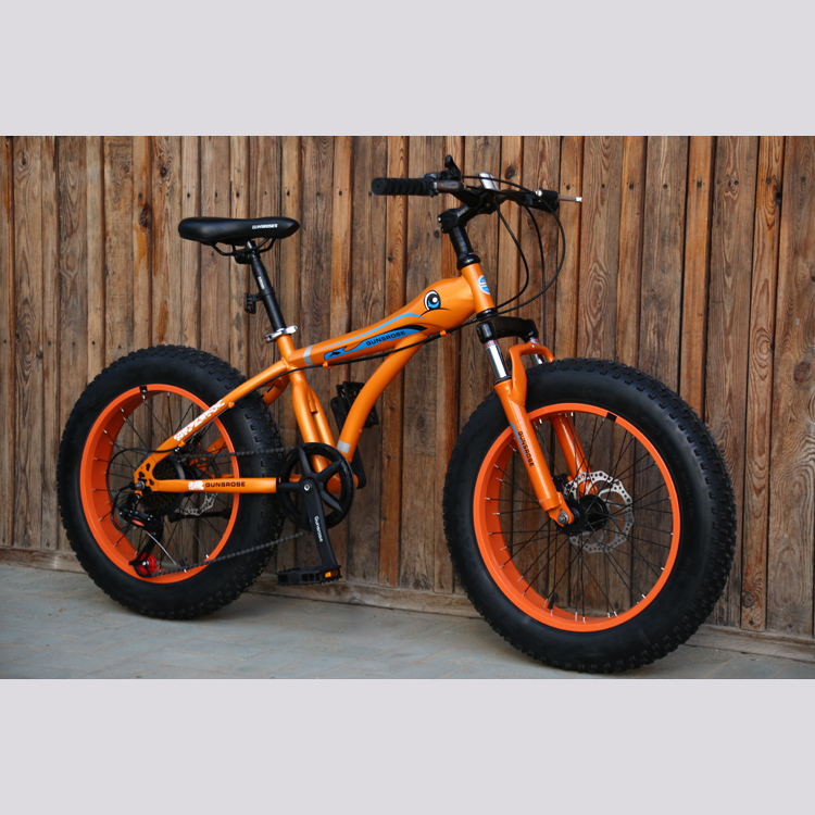 bird bike for sale