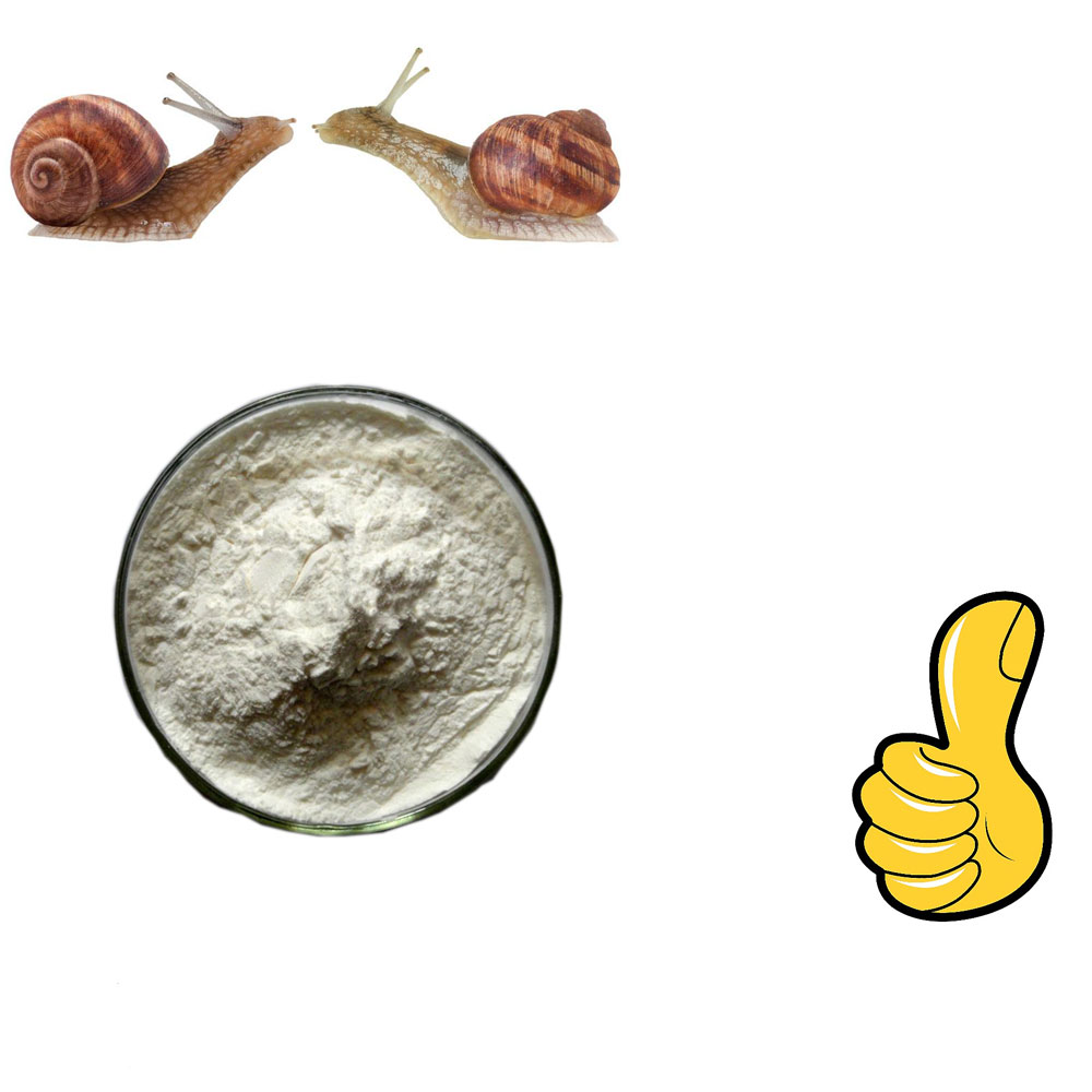 buy snail powder,snail slime extract,snail helix aspersa