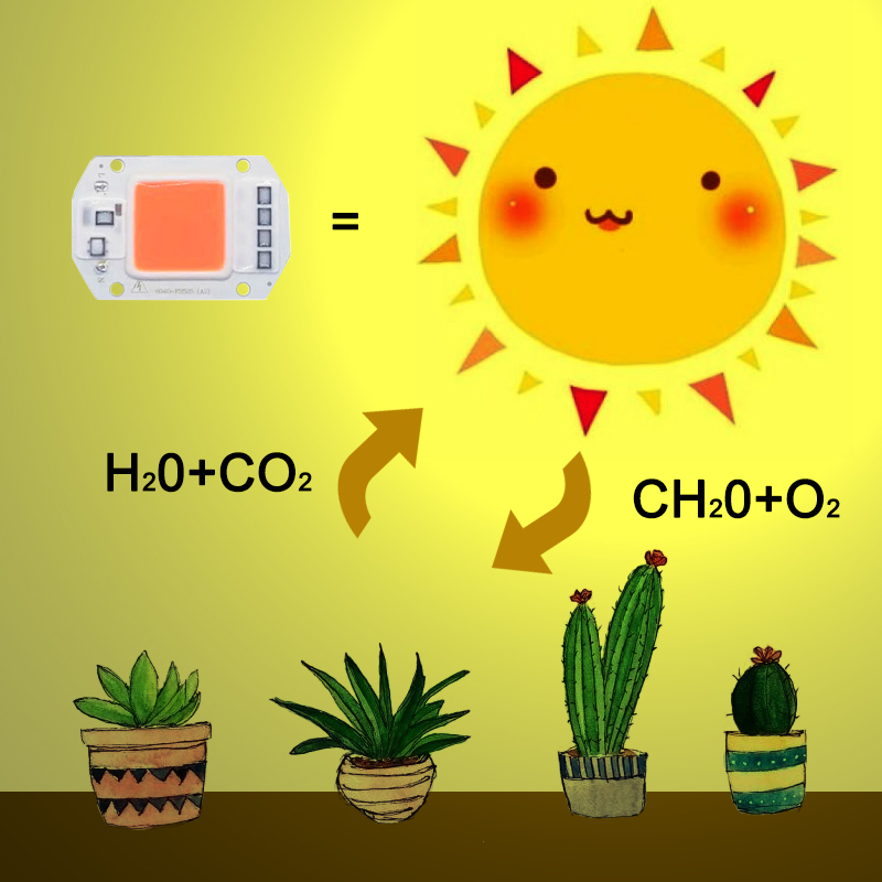 Chip di coltivazione a led per interni ad alta potenza 20W 30W 50W per l'illuminazione della crescita delle piante