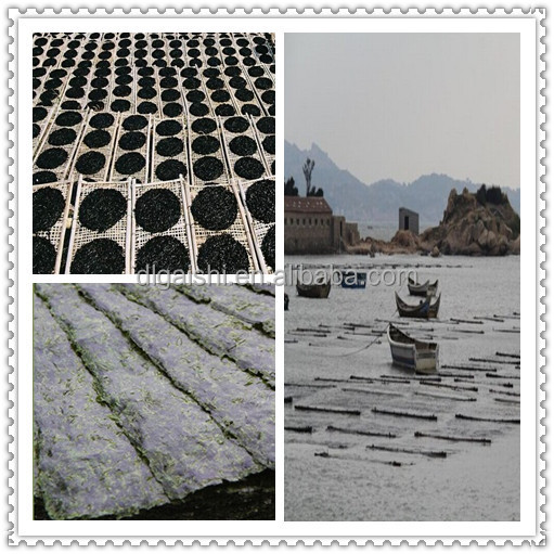 Hot sale delicious 100 sheets roasted seaweed snack for sushi