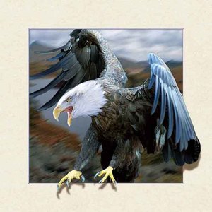 Cari Kualitas Tinggi 3d Gambar Burung Elang Produsen Dan 3d Gambar