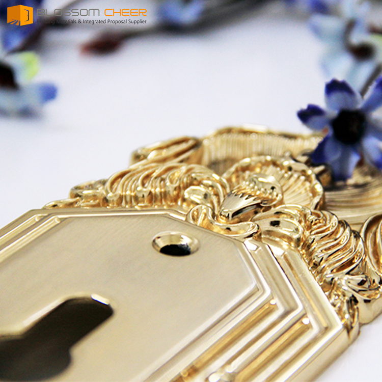 Popular design sri lanka luxury door handles locks interior door handle