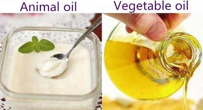 Hign quality food grade stainless steel edible oil separator machine price