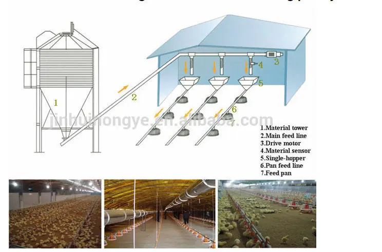 Chicken farms equipment brolier farm design china broiler layout farm