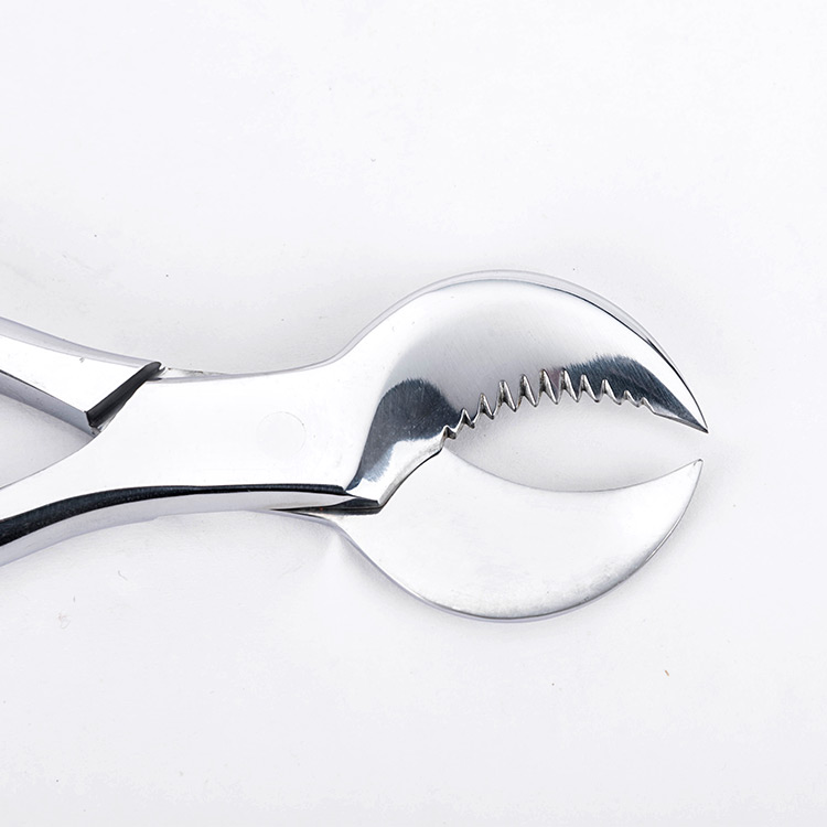 Plaster cutting pliers/crown instruments/dental instruments