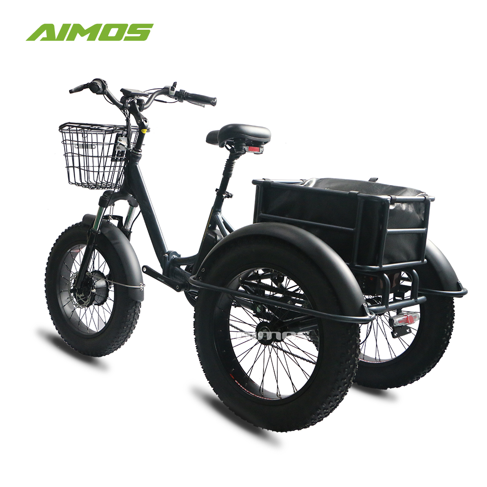 bicicletta 3 ruote elettrica