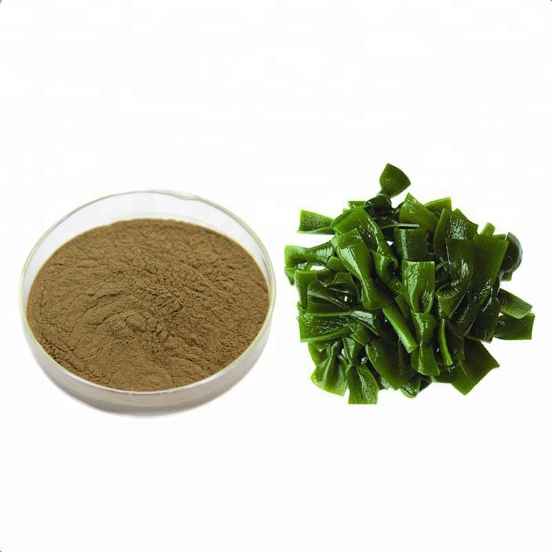 Kelp extract. Kelp extract