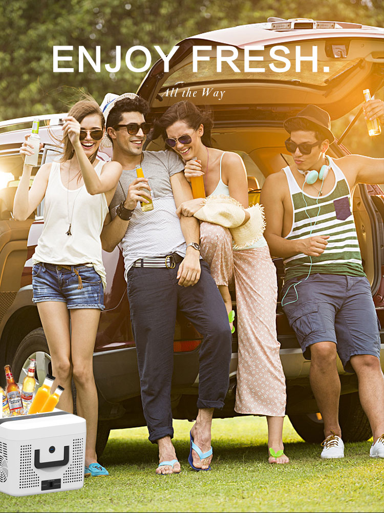 Factory direct wholesale 15L mini portable car refrigerator