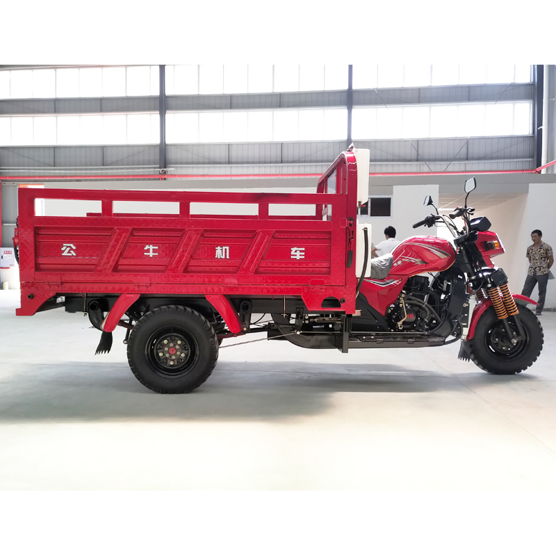 2021公牛热卖250cc摩托车货物三轮车