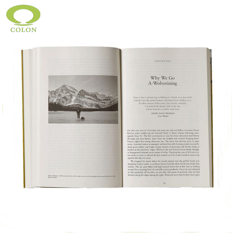 Дешевая Цена по прейскуранту завода Paperback колледж образование школа Softcover учебники печать Услуги