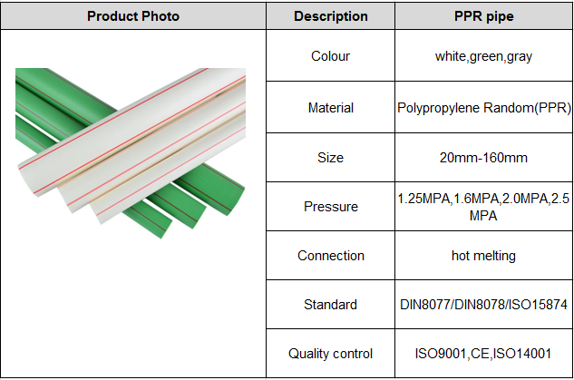 Supply Hot And Cold Water Ppr Pipe,Ppr Pipe Fitting/ Ppr Water Pipe Plastic Tube