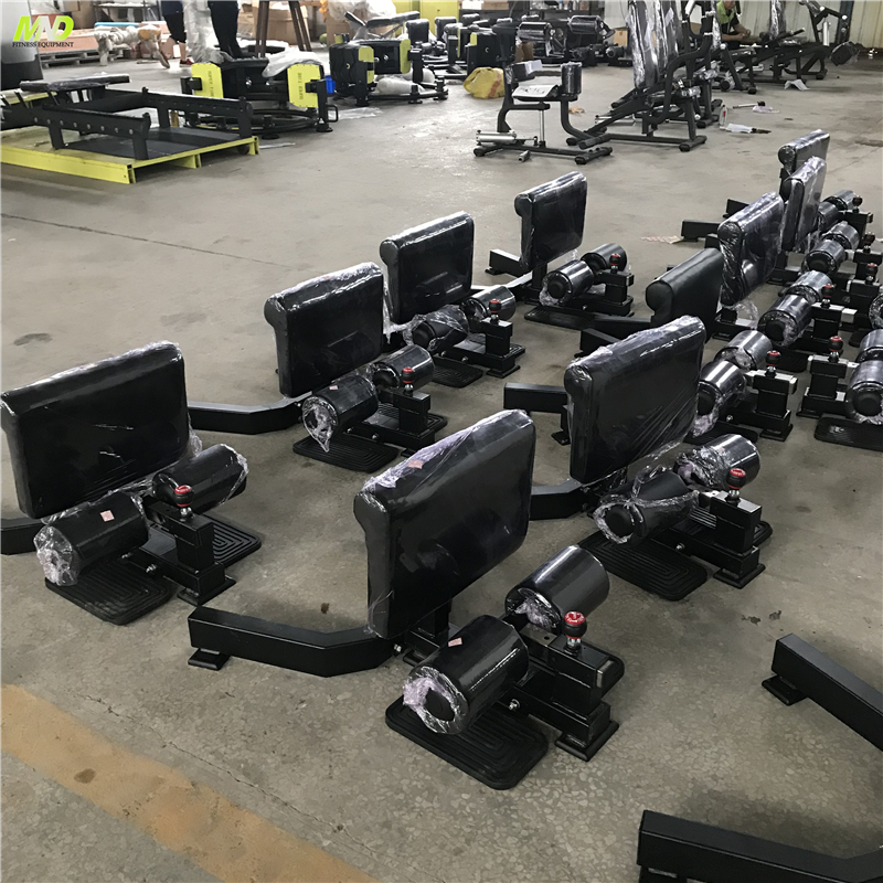 China Supplier Home Sissy Squat Machine Gym Equipment