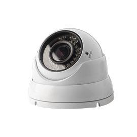 Security & Protection