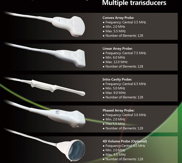 Echography Medical Ultrasound Machine 3D 4D Digital Ultrasonic Diagnostic Imaging System