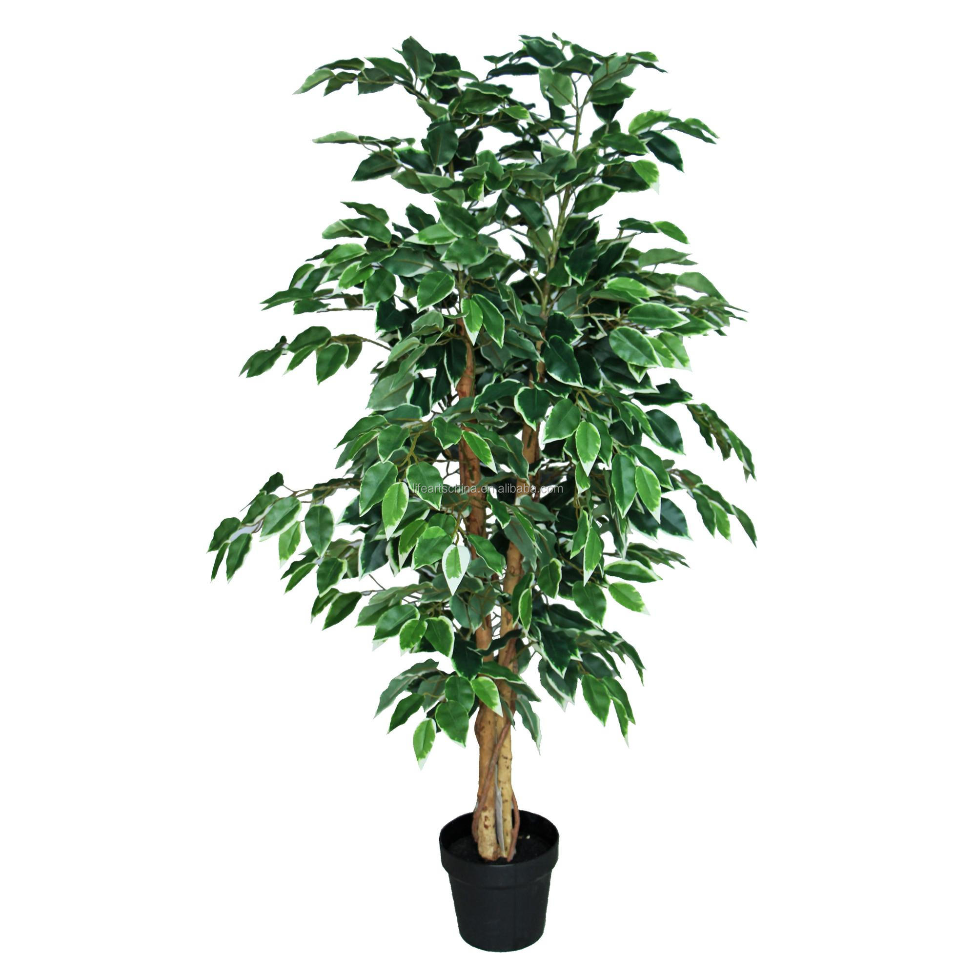 90厘米 ficus 树人造