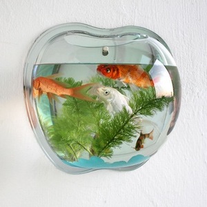 Wall Mount Fish Bowl Wall Mount Fish Bowl Suppliers And