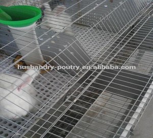 Galvanized Rabbit Feeders Galvanized Rabbit Feeders Suppliers And