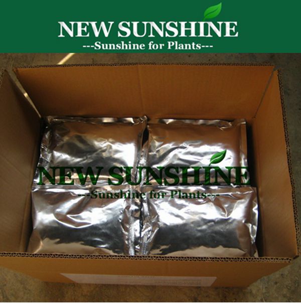 High Quality Potassium Humate/Humic Acid Potassium Salts