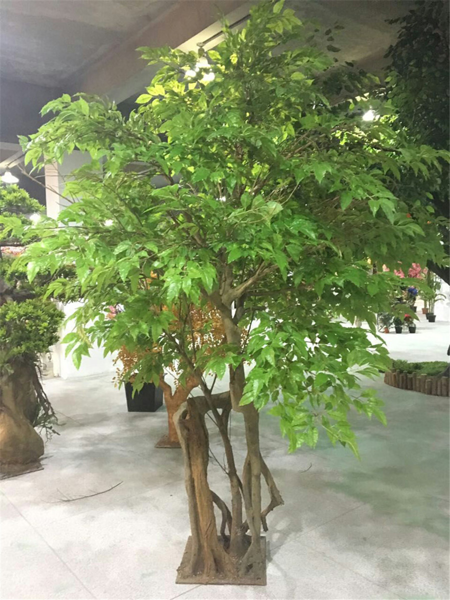 winterfester efeu Weigrner Efeu Hedera helix 'Glacier' Gartenpflanze 9cm kaufen