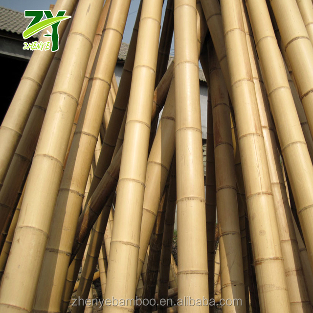 Забор из тростника рулонный. Бамбуковое ограждение. Бамбуковые колышки 105см 10/12мм (500). Бамбуковая 12. Ствол бамбука.