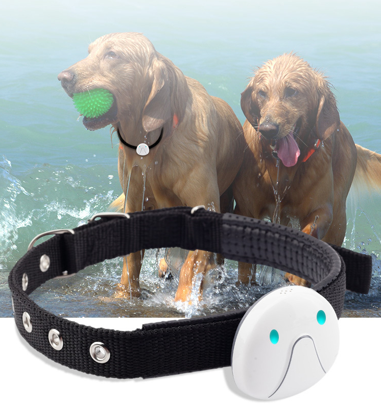 ip67防水宠物gps追踪器狗项圈gps bds agps wifi lbs追踪适用于