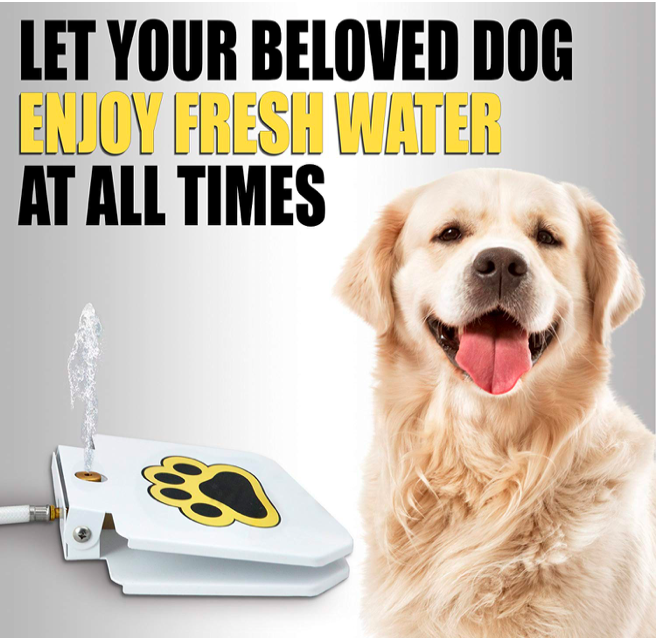 Fontaine à eau douce pour chien d'extérieur durable et amusante - Distributeur automatique d'eau douce à pédale