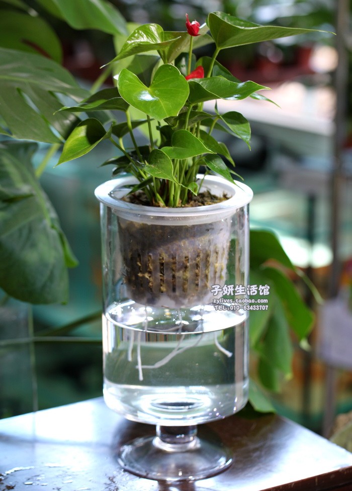 热卖白色矩形水培塑料花盆