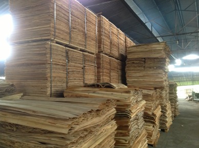 Commercial Plywood (8mm x 1220mm x 2440mm)