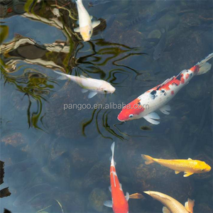 Animals Pond Animals Pond Suppliers And Manufacturers At Alibaba Com