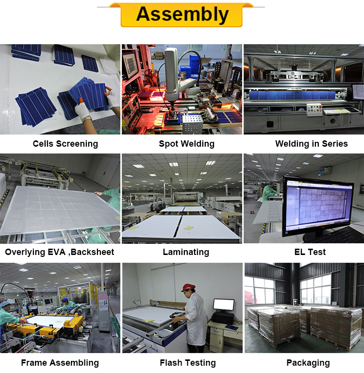 Yangtze BIPV Double glass or single glass 24v 230w 240w 250w 260w 270w transparent solar pv module
