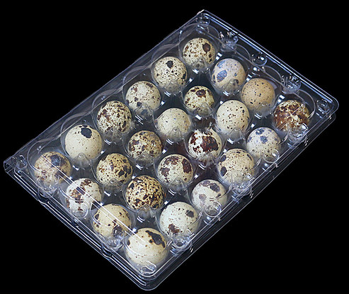 24 Отверстия, прозрачная пластиковая картонная упаковка для перепелов