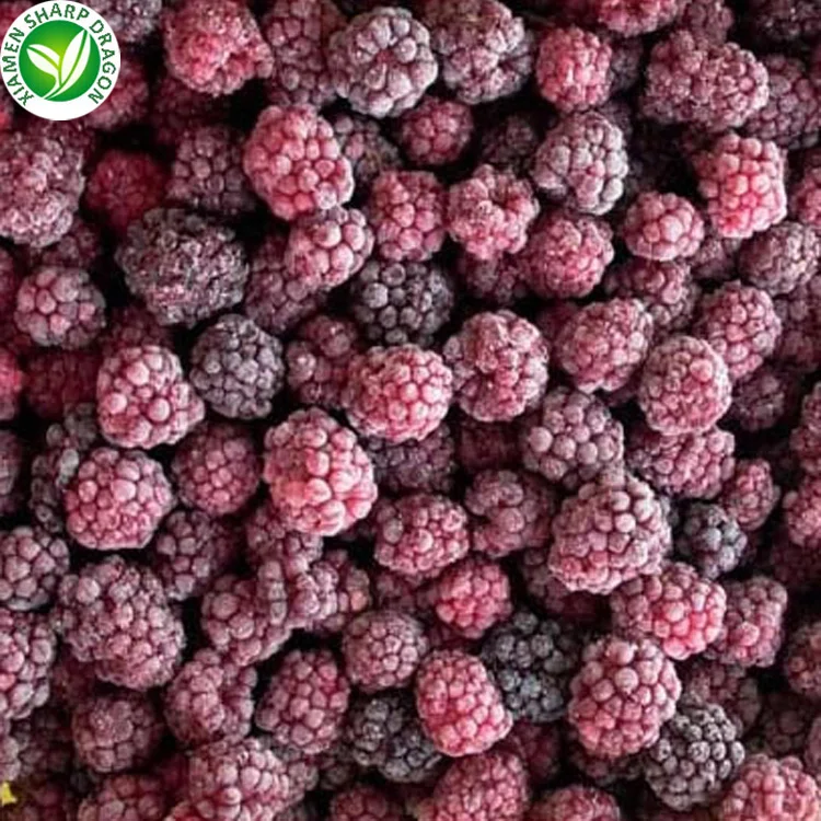 Wholesale IQF Blackberry Bulk Frozen Black Berries