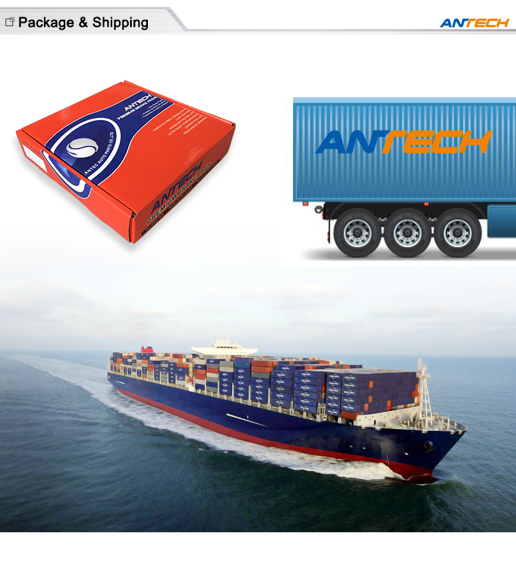 Race clutch disc Ceramic 48711CB6, 48735CB6, 48591CB6, 48667CB6 ,48711CB6, 48812CB6 ,48588CB6, 48612CB6 ,48688CB6 Stage 2