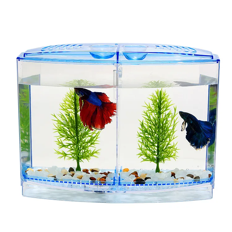 single fish aquarium
