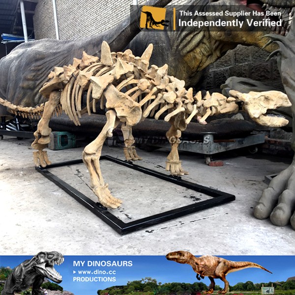 竜骨【中】恐竜 化石 詳細不明 竜骨【中】恐竜 化石 詳細不明 dinosaur-fossil-yunnan-2025-