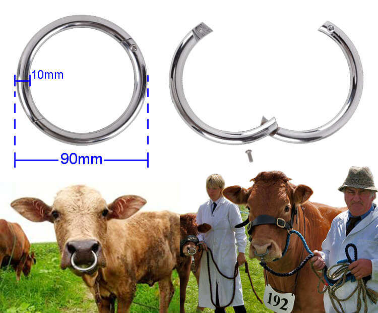 Cattle Bull Cow Nose Ring Hoop Clip
