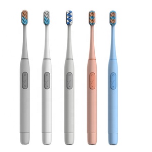 LULA Wholesale Adult Portable Battery Operated Easy Carry Custom Toothbrush Smart Travel Electric Toothbrush Manufacturer